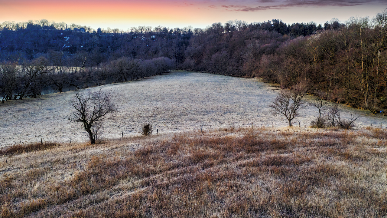 Frost-covered field at dawn, bare trees under soft pink sky, preparing for winter.