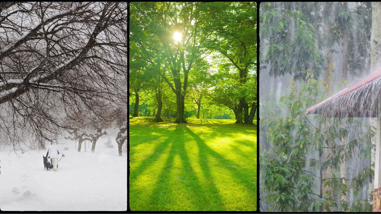Three-season lawn care: snowy winter, sunny spring grass, rainy garden—protect your yard through extreme weather.