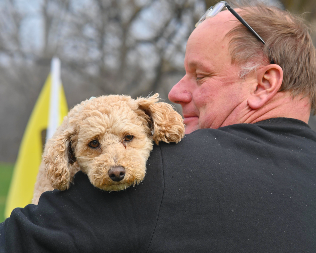 Man holding fluffy golden dog outdoors, both relaxed and content, with yellow flag in background.