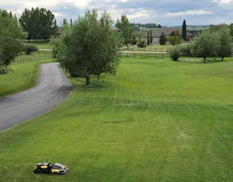 Robotic lawn mower glides across lush green yard, trimming grass with precision under cloudy skies.