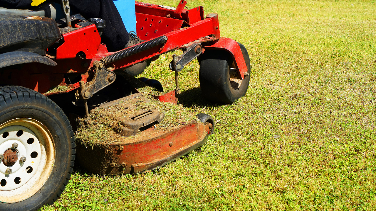 Red AWD lawn mower cutting grass on sunny day, showing rugged tires and deck with clippings.