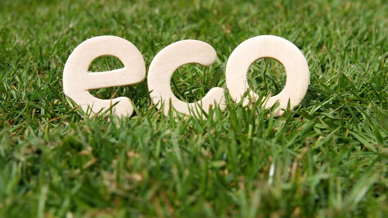 Wooden "eco" letters nestled in lush green grass, symbolizing sustainable lawn care.