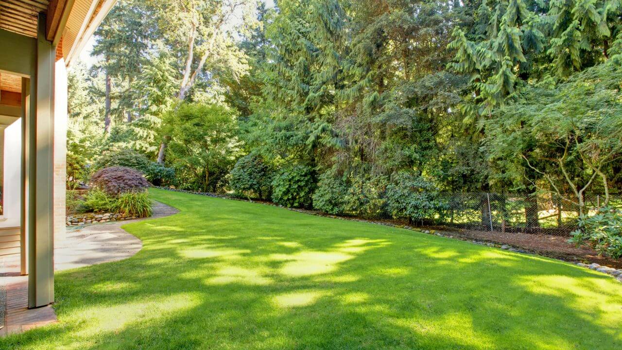 Lush green lawn bathed in dappled sunlight, bordered by trees and shrubs, beside a home’s porch.
