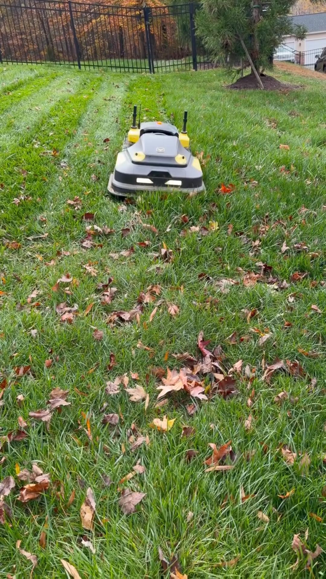 Gray and yellow robotic lawn mower on green grass scattered with brown autumn leaves, near black fence.