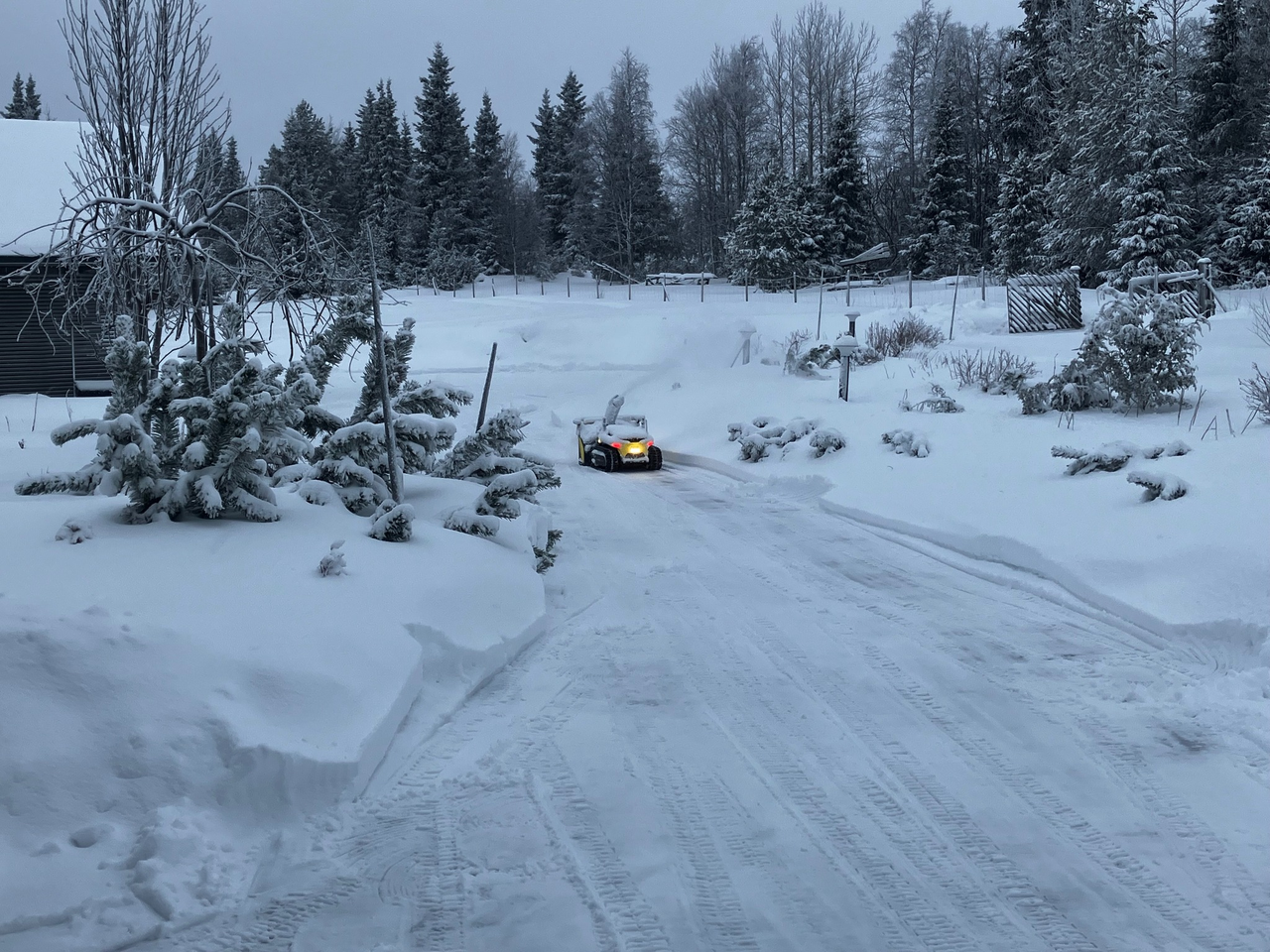 Small snow-covered vehicle with glowing headlights drives down snowy driveway flanked by evergreens and bare trees under overcast sky.
