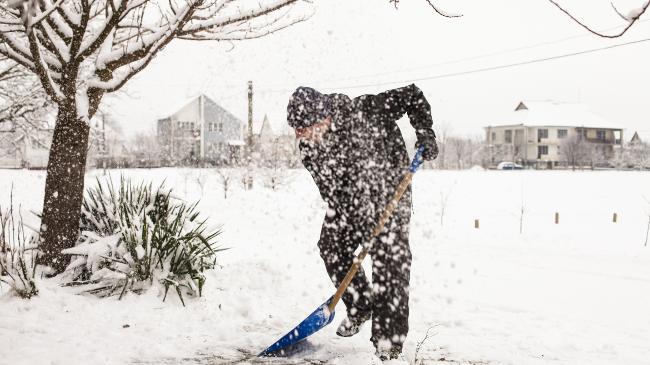 Person shoveling snow in winter storm, wearing warm gear, clearing path near snow-covered tree and houses.