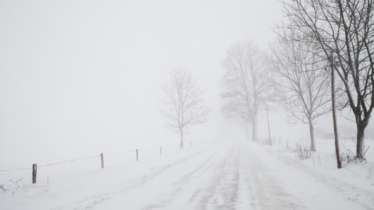 Snow-covered rural road lined with bare trees and fence, blizzard conditions, harsh winter weather.
