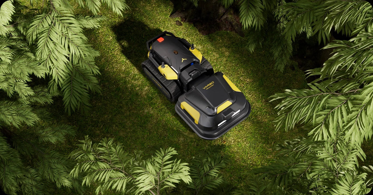Black and yellow robotic lawn mower gliding through lush green grass surrounded by ferns, showcasing smart, hands-free yard care.