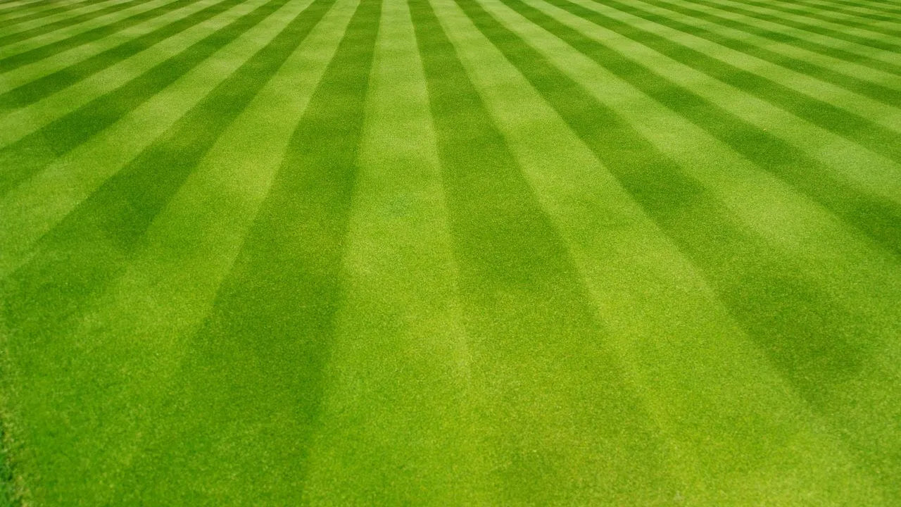 Vibrant green lawn with crisp, alternating stripes from mowing, showcasing a neat, professional finish.