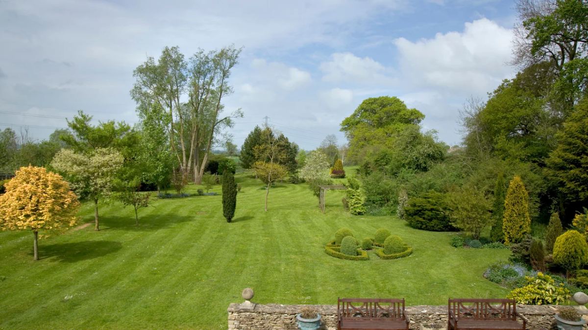 Lush green lawn with crisp striped patterns, surrounded by colorful trees and shrubs under a bright blue sky.