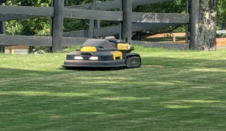 Black and yellow robot mower glides across sunny lawn, trimming grass near wooden fence.