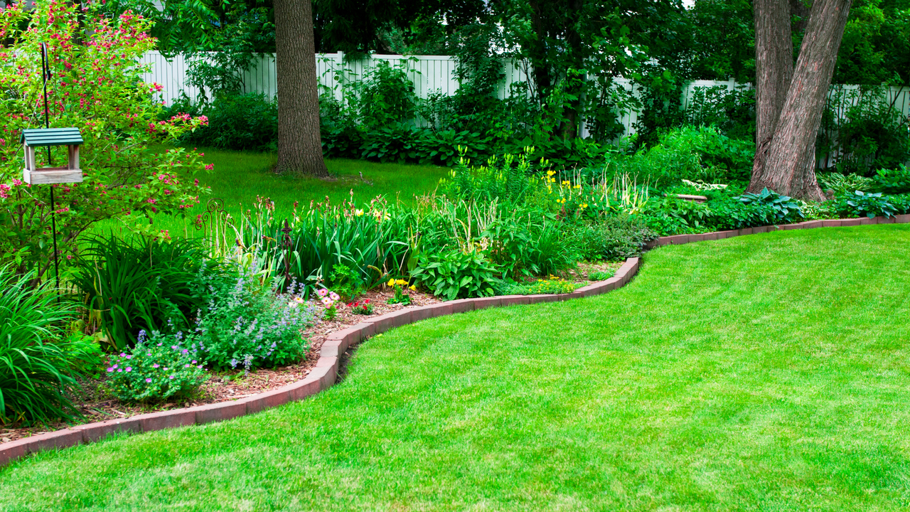 Lush green lawn with crisp, curved edging bordering vibrant flower beds and trees, showcasing a well-maintained garden.