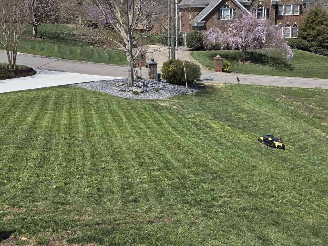 Yellow and black robot mower navigates a sunny suburban lawn, leaving neat stripes in its path.
