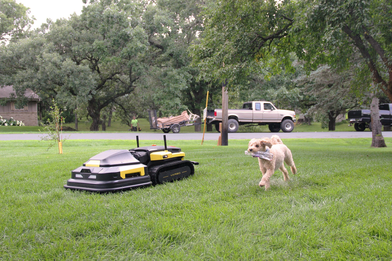Black and yellow Yarbo robotic mower on lush green lawn, with playful dog nearby and trees in background.