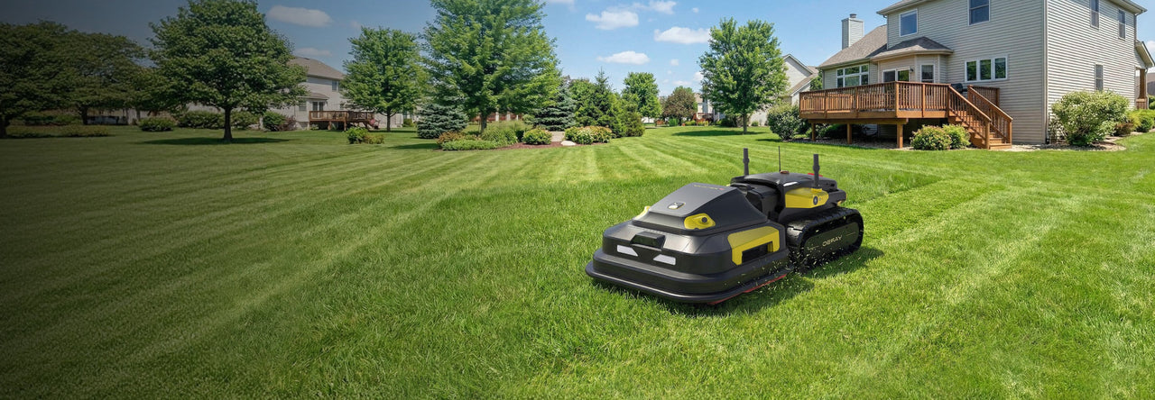 Black and yellow robotic lawn mower on a striped green lawn in front of a suburban house with trees and blue sky.