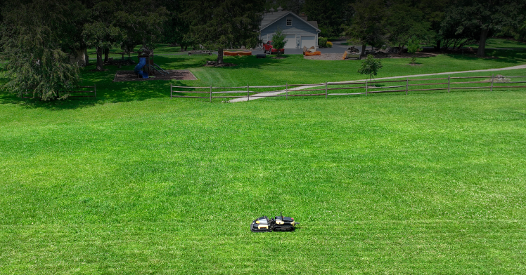 Two black lawn mowers on a vibrant green lawn, with a wooden fence, playset, and house in the background under bright sunlight.