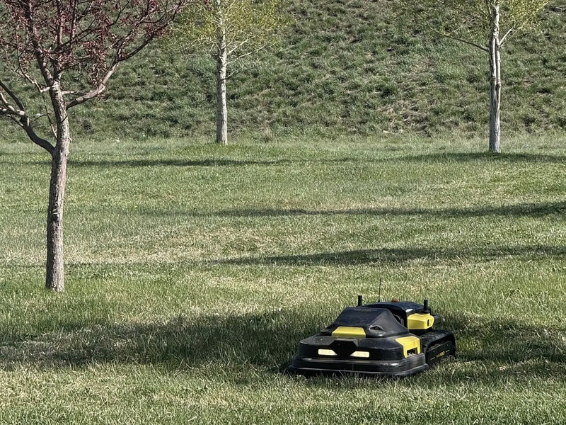 Black and yellow robotic lawn mower on green grass with trees in background under bright sunlight.