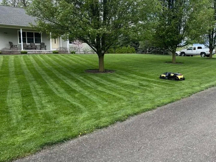 Yellow and black robotic lawn mower on striped green grass near house and trees, driveway in foreground.