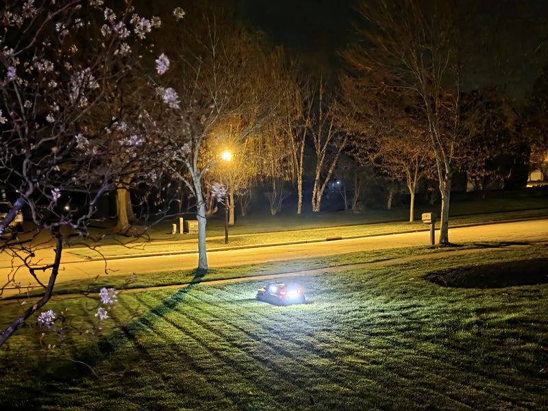 Night scene of a suburban street with blooming tree, lawn mower in foreground, and warm streetlights illuminating bare trees.