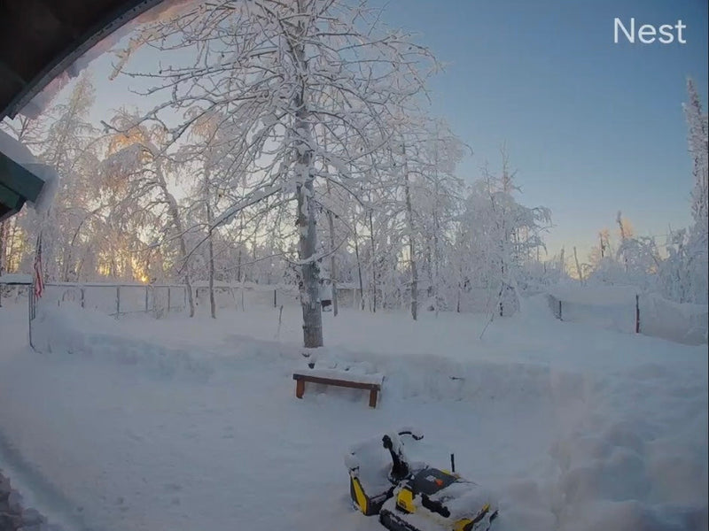 Snow-covered yard with frosted trees, wooden bench, and yellow snowblower under soft morning light. Nest logo in top right.